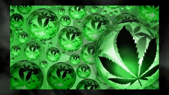 Comedoz -- Ямайка