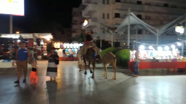 Катаемся на верблюде. Отель Порто Азуро Клаб Море. Турция Махмутлар смотреть онлайн