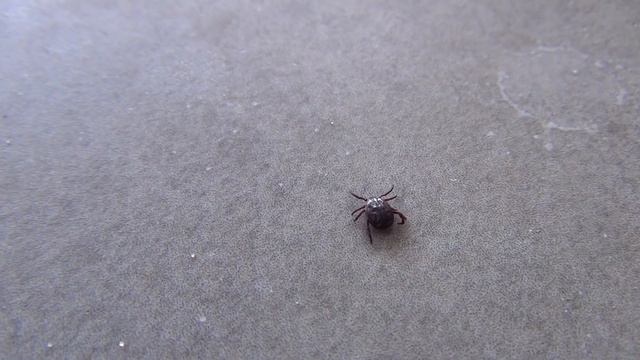 Стройка Подробности