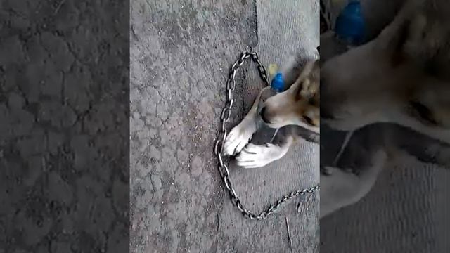 Кидаем в меня шарики с холодной водой я заболела 😷😷😷😷 смотреть онлайн
