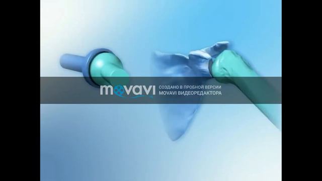 Модуль - Основы доклинических исследований и движения смотреть онлайн