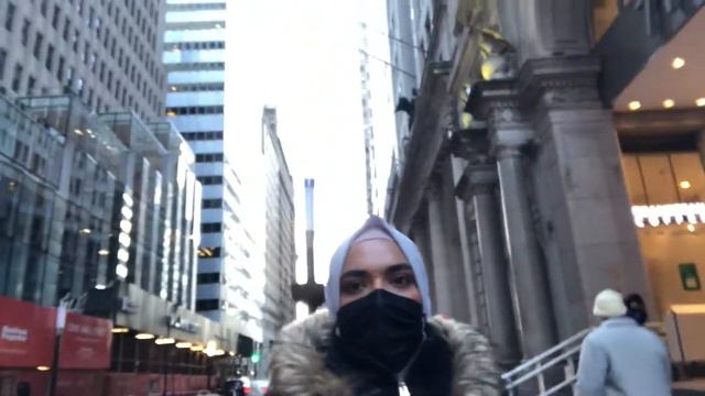 TRAVEL VLOG NEW YORK CITY- TIPS/ WHAT TO DO IN NYC| HALAL TRAVEL| INDIAN PAKISTANI COUPLE смотреть онлайн