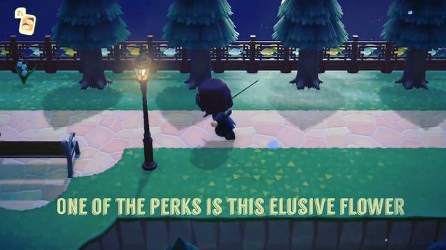 AnimalCrossing 5 Star Island. Tips and Tricks, Lily of the Valley смотреть онлайн