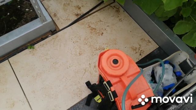 Капуста в чулках. Обработка огурцов нашатырем и борной кислотой плюс.. смотреть онлайн