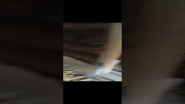 20230821_Давлеканово. Картофель и виноград смотреть онлайн
