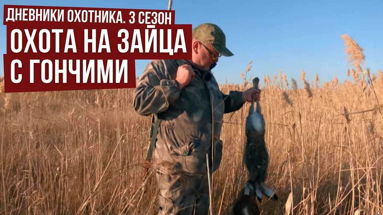 ОХОТА НА ЗАЙЦА с гончими в Ростовской обл. // Дневники охотника #3 / #9 смотреть онлайн