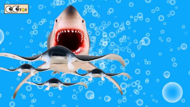 [EN] Hungry Megalodon and baby whales, sharks and whales cartoons for kids, collectaㅣCoCosToy смотреть онлайн