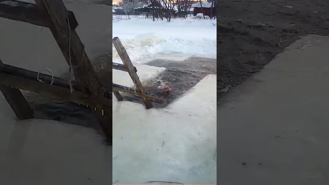 мой отец купается на крещении в черноисточинске смотреть онлайн