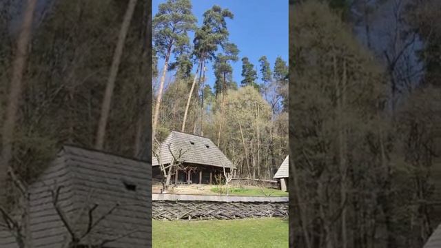 Музей Астра смотреть онлайн