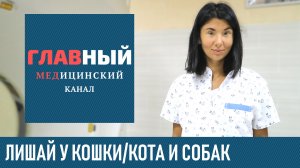 Как выглядит Лишай у Кошки/Кота и Собак. Что делать если лишай у кота/кошки/собаки