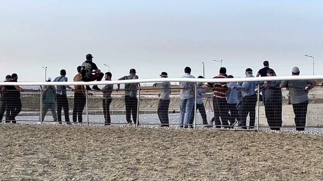 Скачки Инаходов горных и Карабахских лошадей смотреть онлайн