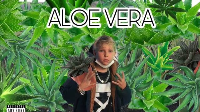 ALOE VERA смотреть онлайн