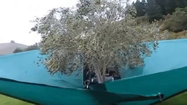 оливковый комбайн смотреть онлайн