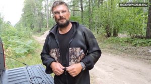 Ступени для подъема на дерево