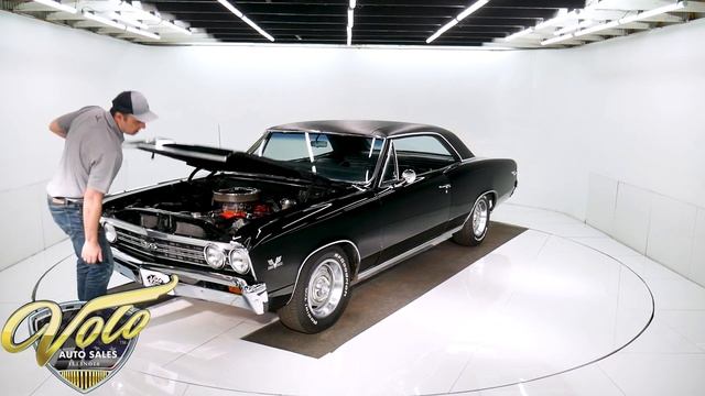 1967 Chevrolet Chevelle SS 396 for sale at Volo Auto Museum (V18872) смотреть онлайн