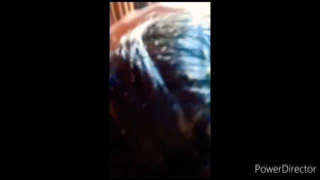 200% working Use Aloe vera & lemon for extreme hair Growth👩 get Thick,silky and long hair in 7 days смотреть онлайн