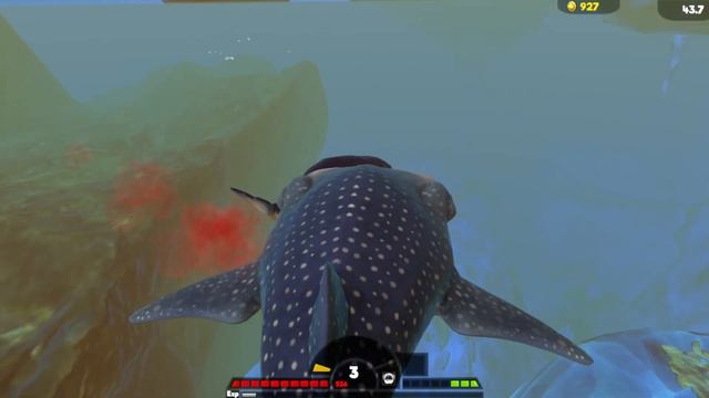 the slow life of a whale shark | Feed and grow: fish episode 4 (no commentary) смотреть онлайн