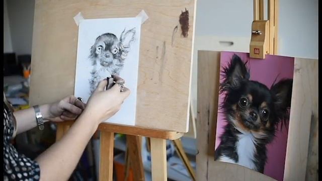 Как нарисовать собаку. Урок рисования. смотреть онлайн