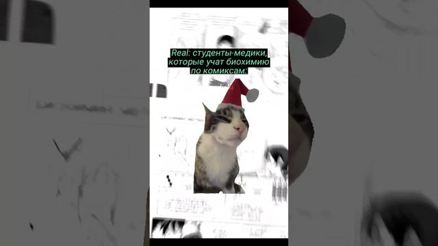 Делай, как мы, делай лучше нас👻