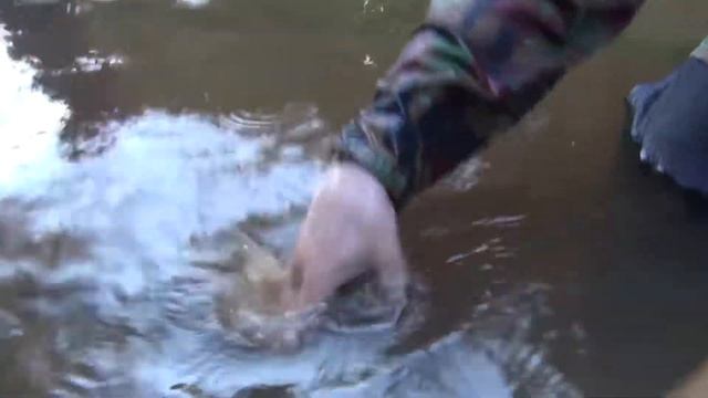 Раскопки на Железной реке N 4 Searching relics of WW2 in the River N 4 смотреть онлайн