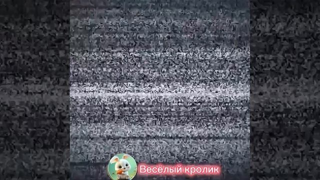 Ржём как ненормальные после просмотра этого канала (https://t.me/+C6cXr9D4jI5mZTYy) ??? ? @pri смотреть онлайн
