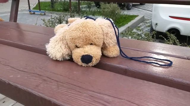 ● Хочу собаку! Счастье (Happy) есть! My dog - jack russel terrier. смотреть онлайн