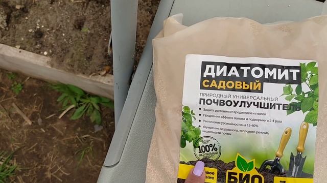 Как надо подготовить теплицу к высодке рассады, чтобы получить отличный урожай. смотреть онлайн