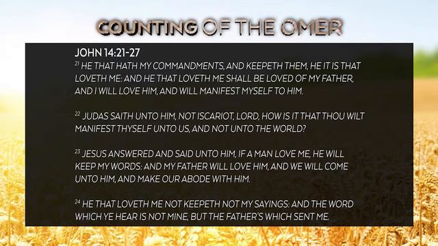 Omer day 25 смотреть онлайн