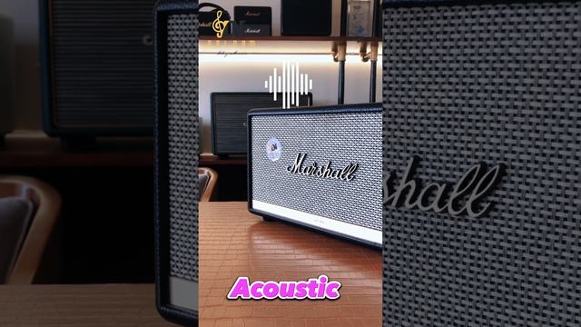 Giật mình! Test âm loa Marshall Acton 2 tại Đại Nam Sky Music смотреть онлайн