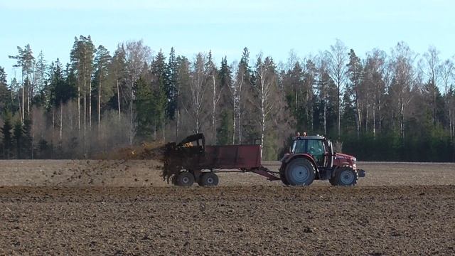 Spreading Manure 2019 | Massey Ferguson 6615 & LMR Azene PTU-10 смотреть онлайн