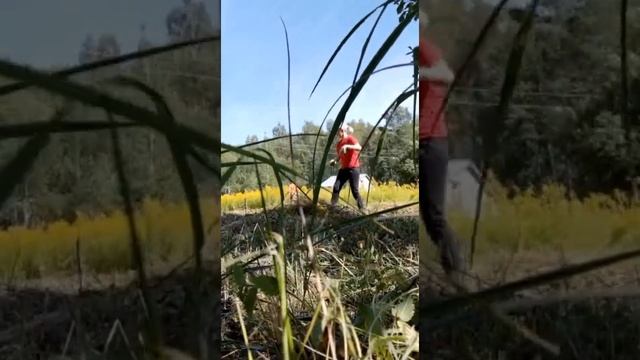 Подготовка целены к перекопке Канал 3D Дягилевы Делают Дело смотреть онлайн