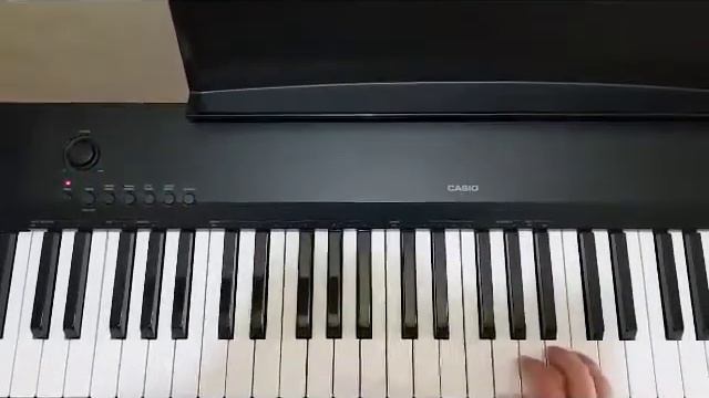 Casio CDP 120