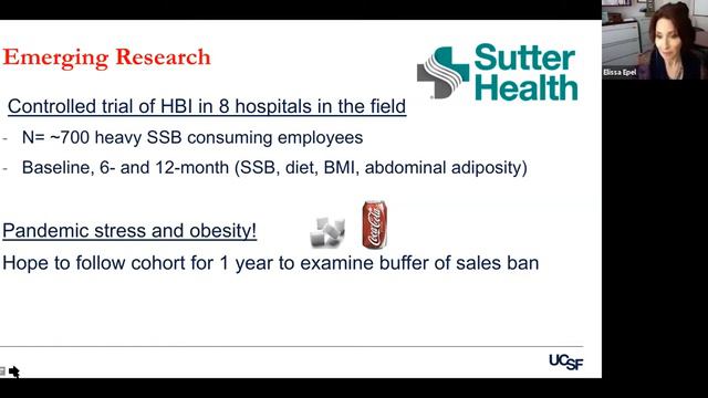 Eliminating Sugary Drinks in a Large Health System: Leveraging Data for Systems Change смотреть онлайн