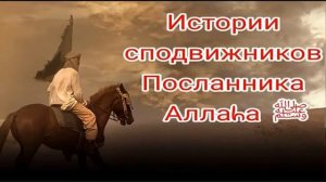 Тальха ибн Убайдуллah. Истории сподвижников Пророка (да благословит его Аллах и приветствует).