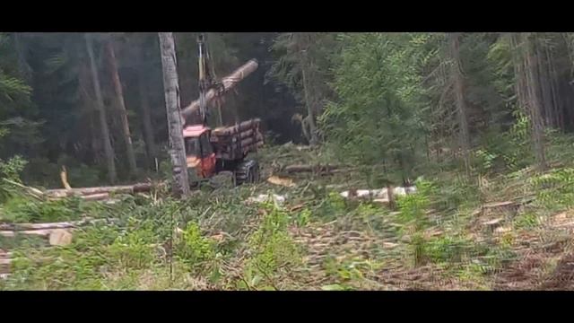 (?Там где предки На лыжах катались)Заготовка на косогорье? смотреть онлайн