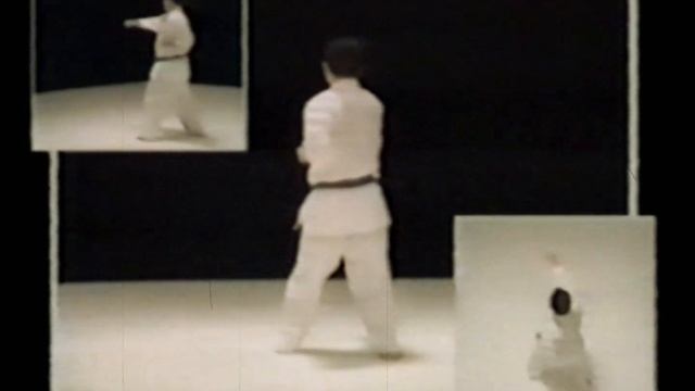 Библия Киокушинкай(DVD Rip)