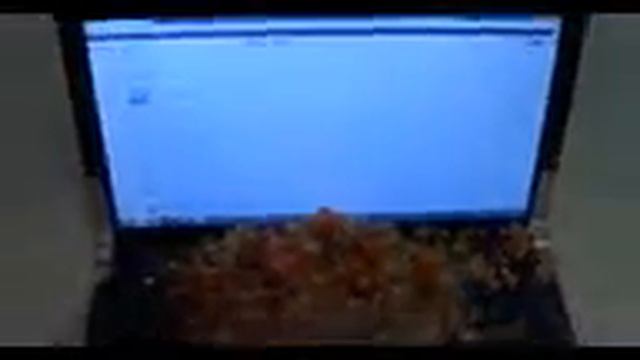 Как правильно установить GTA 5