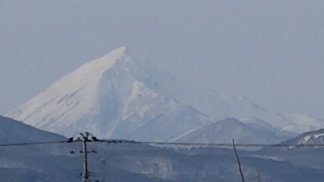 笹原川散歩　14/01/20 (139) смотреть онлайн