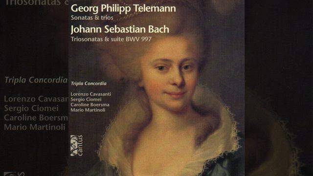 Sonata For Recorder And Continuo In D Minor, TWV 41:d4: III. Grave