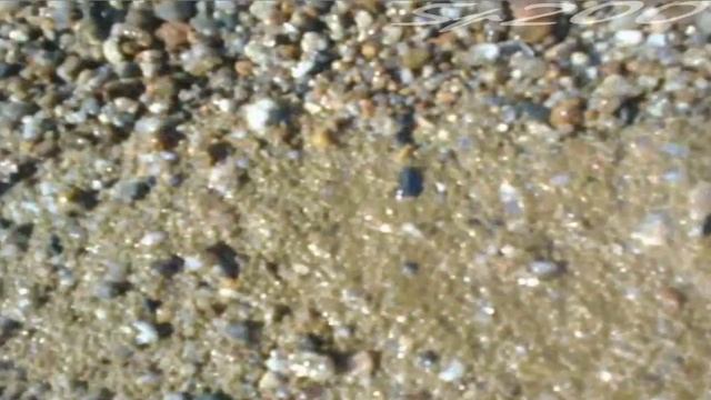 Мертвая икра на Байкале! ШОК!!! смотреть онлайн