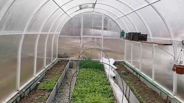 Теплица. Устройство и как разместить посадки. Кадры лета 2020. смотреть онлайн