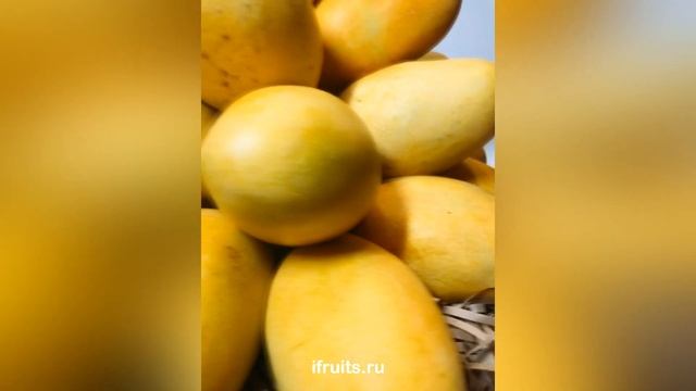 Манго смотреть онлайн