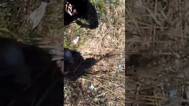 Рыбалка ПМР