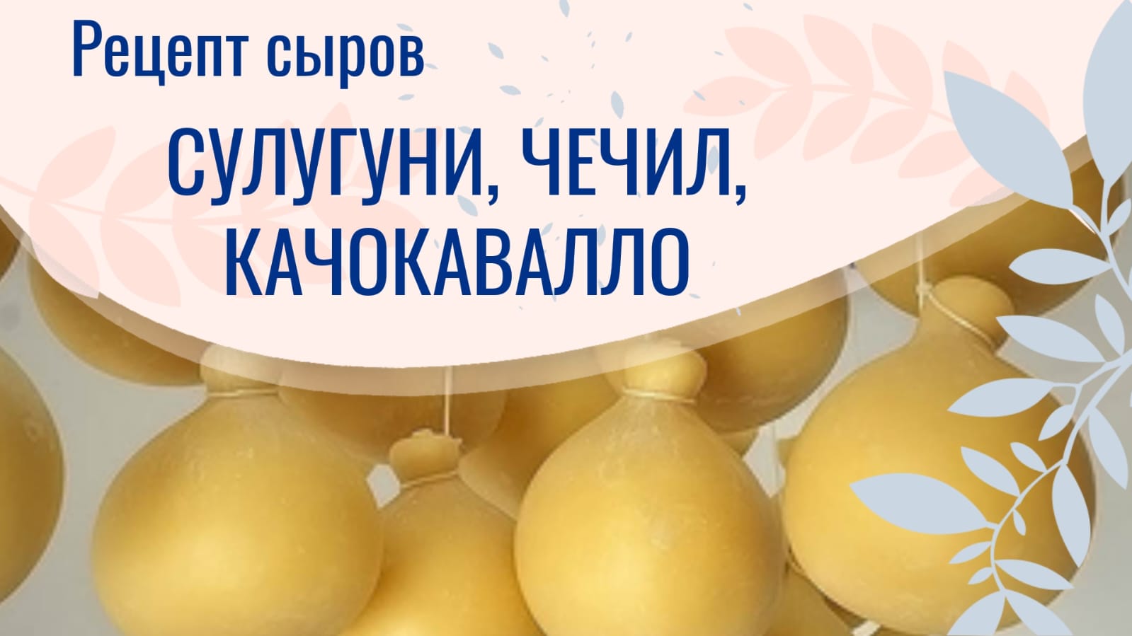 Сулугуни, чечил, качокавалло. Suluguni, Chechil, Kachocavallo