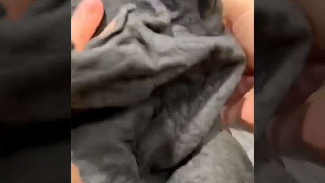 Удобная супер тряпочка для уборки разных поверхностей в доме смотреть онлайн