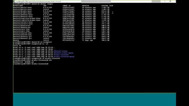 Demo Creating Docker Containers for CA Service Virtualization смотреть онлайн