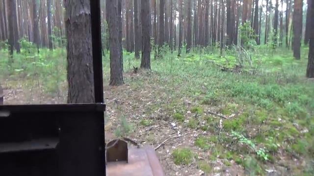 Поездка в лес на драндулете собираем ягоды и валёжник. смотреть онлайн