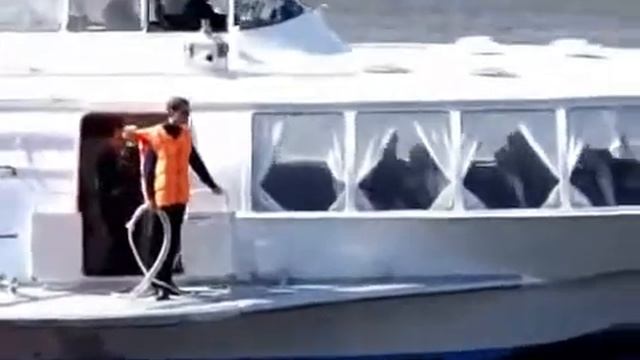 Hydrofoil Meteor in St Petersburg, Russia 2 смотреть онлайн