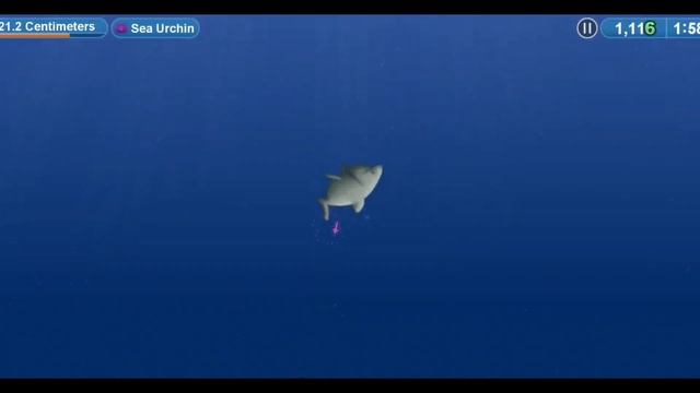 Taste planet game hungry Shark fish.io - Fishdom oggy Game смотреть онлайн