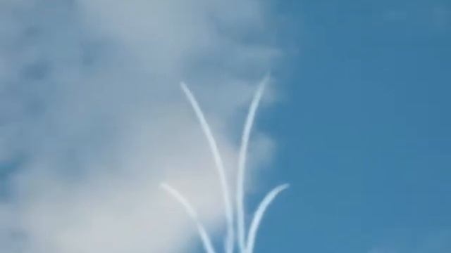 入間基地航空祭のブルーインパルス　PowerShot A495　動画 смотреть онлайн